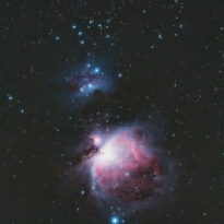 M42, M43, NGC 1977 and NGC 1981
